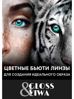 Линзы для глаз цветные контактные Gloss & Yiwa 148025742 купить за 314 ₽ в интернет-магазине Wildberries