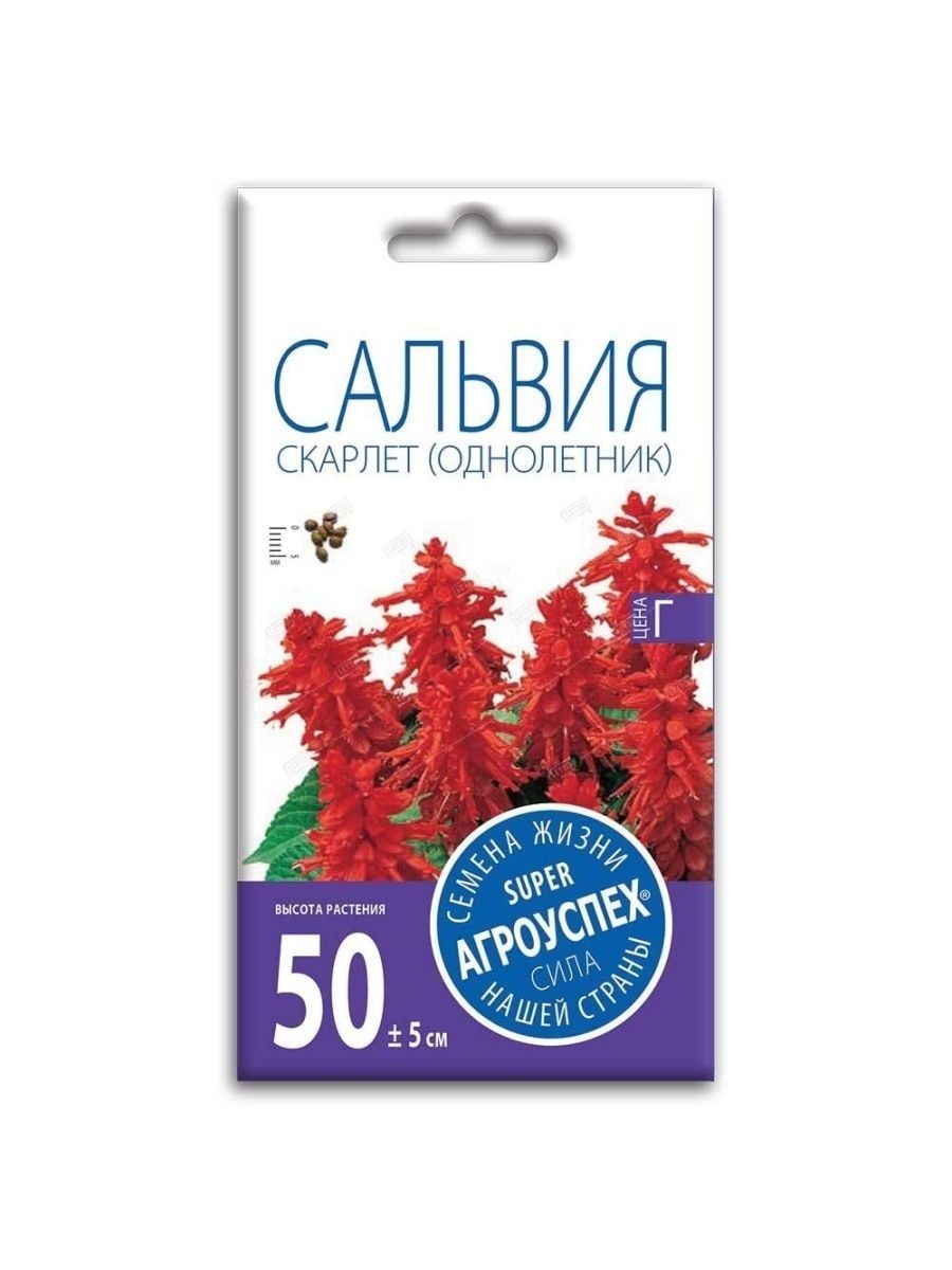 Цвет скарлет