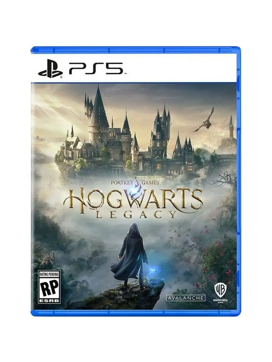 Hogwarts Legacy (PS5, Хогвартс.Наследие) русские субтитры PlayStation  148117414 купить в интернет-магазине Wildberries