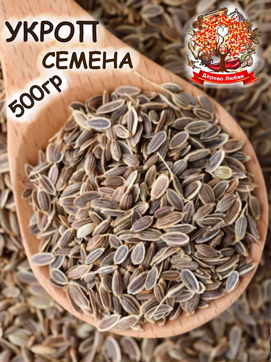 Семена укропа