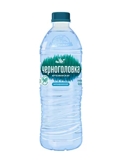 Вода питьевая негазированная пэт 0,5л х 12шт Черноголовка 148123858 купить за 937 ₽ в интернет‑магазине Wildberries