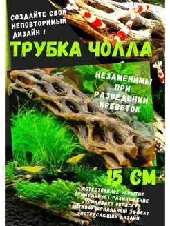 Трубка из кактуса Чолла (Cholla)/Грот укрытие Aqua Fish 148186355 купить за 1 541 ₽ в интернет-магазине Wildberries