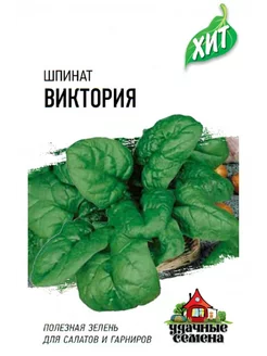 Интернет-магазин Wildberries: широкий ассортимент товаров - скидки каждый день!