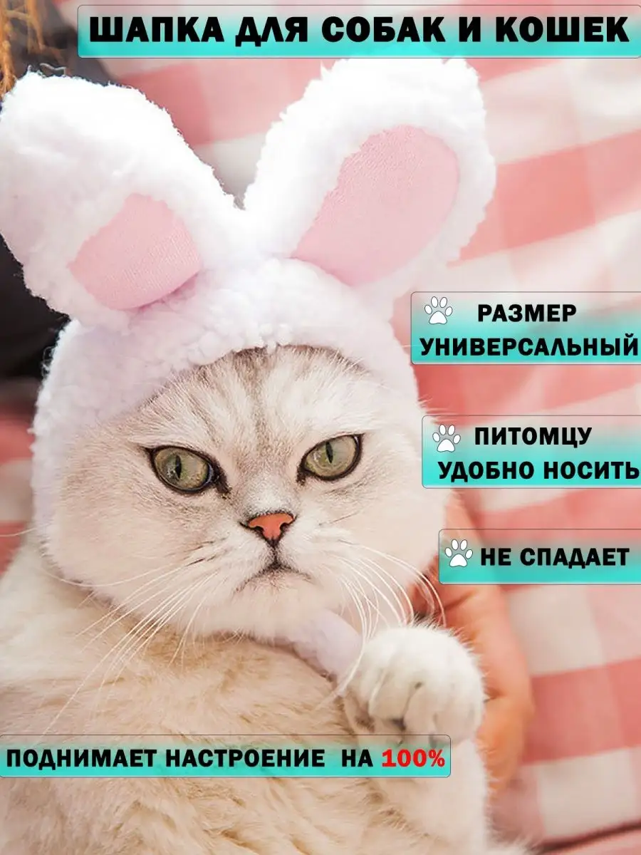 Шапка для собак и кошек