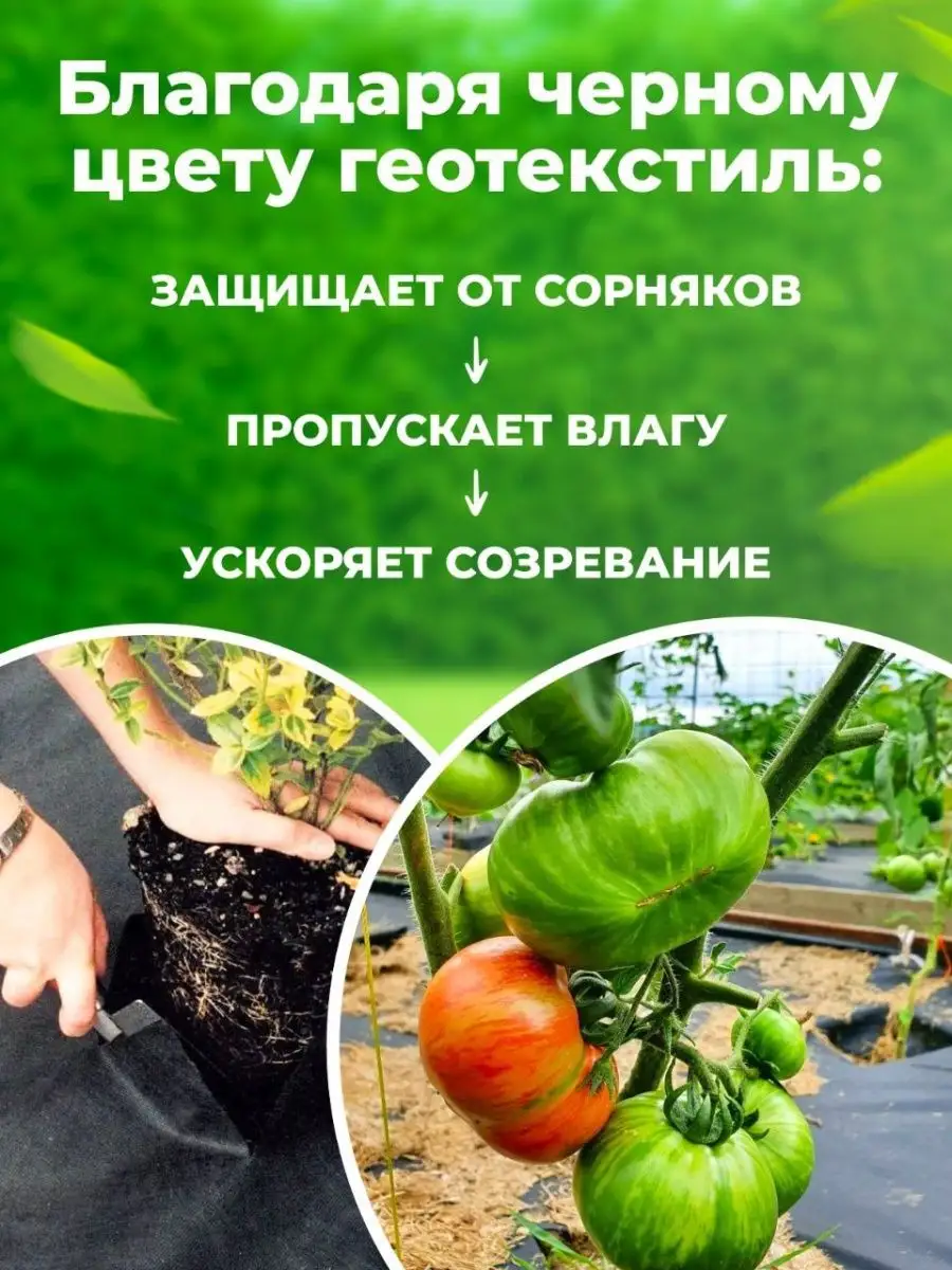 Геотекстиль от сорняков для дорожек сада клубники 150 узкий Геотекстиль  148271920 купить за 1 354 ₽ в интернет-магазине Wildberries