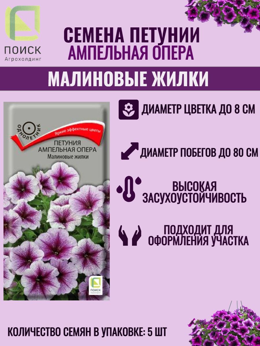 Опера малиновые жилки. Петуния опера малиновые жилки. Петуния опера малиновый лед.