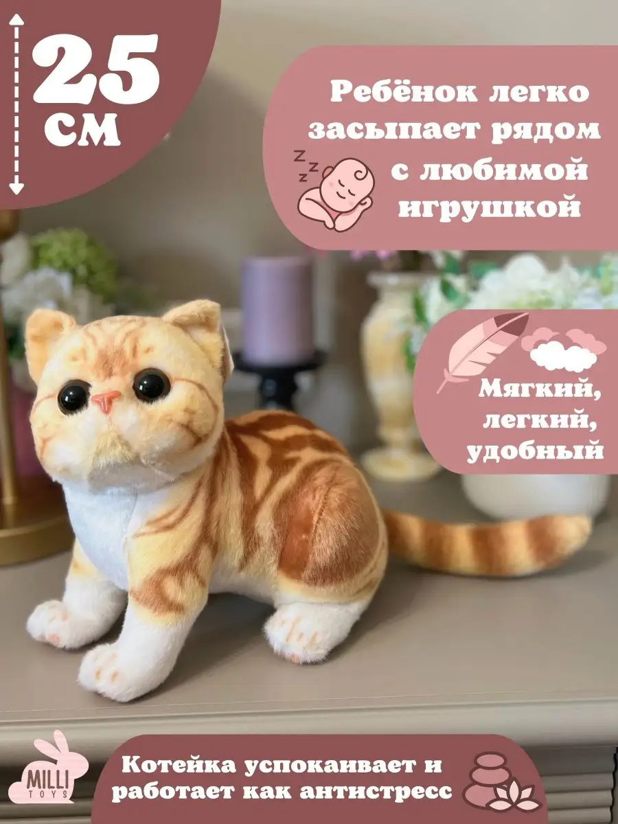 Мягкая игрушка кот плюшевая кошка Milli toys 148302174 купить за 941 ₽ в  интернет-магазине Wildberries
