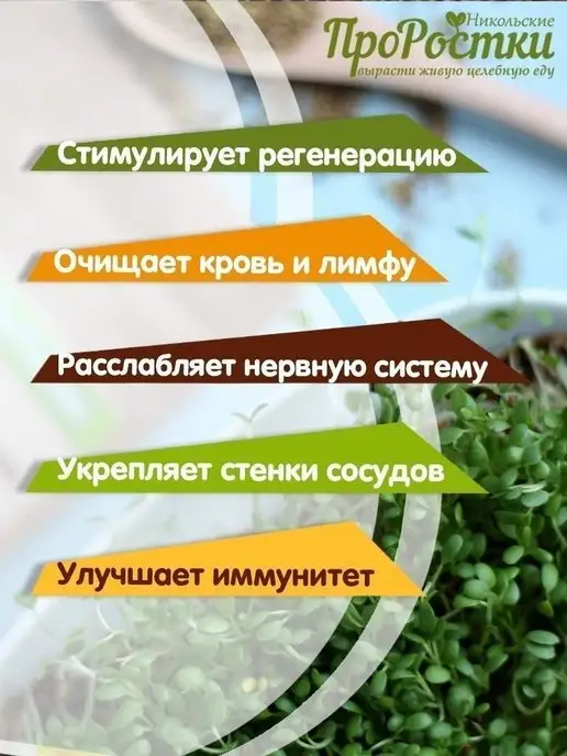 Никольские ПроРостки Микрозелень клевера красного, семена для проращивания, 100 г, 100 г, фото 2