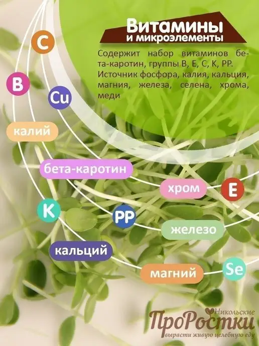 Никольские ПроРостки Микрозелень клевера красного, семена для проращивания, 100 г, 100 г, фото 3