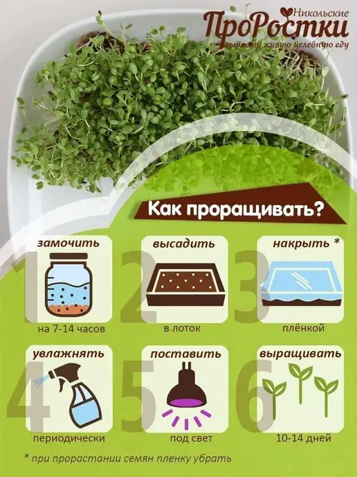 Никольские ПроРостки Микрозелень клевера красного, семена для проращивания, 100 г, 100 г, фото 6