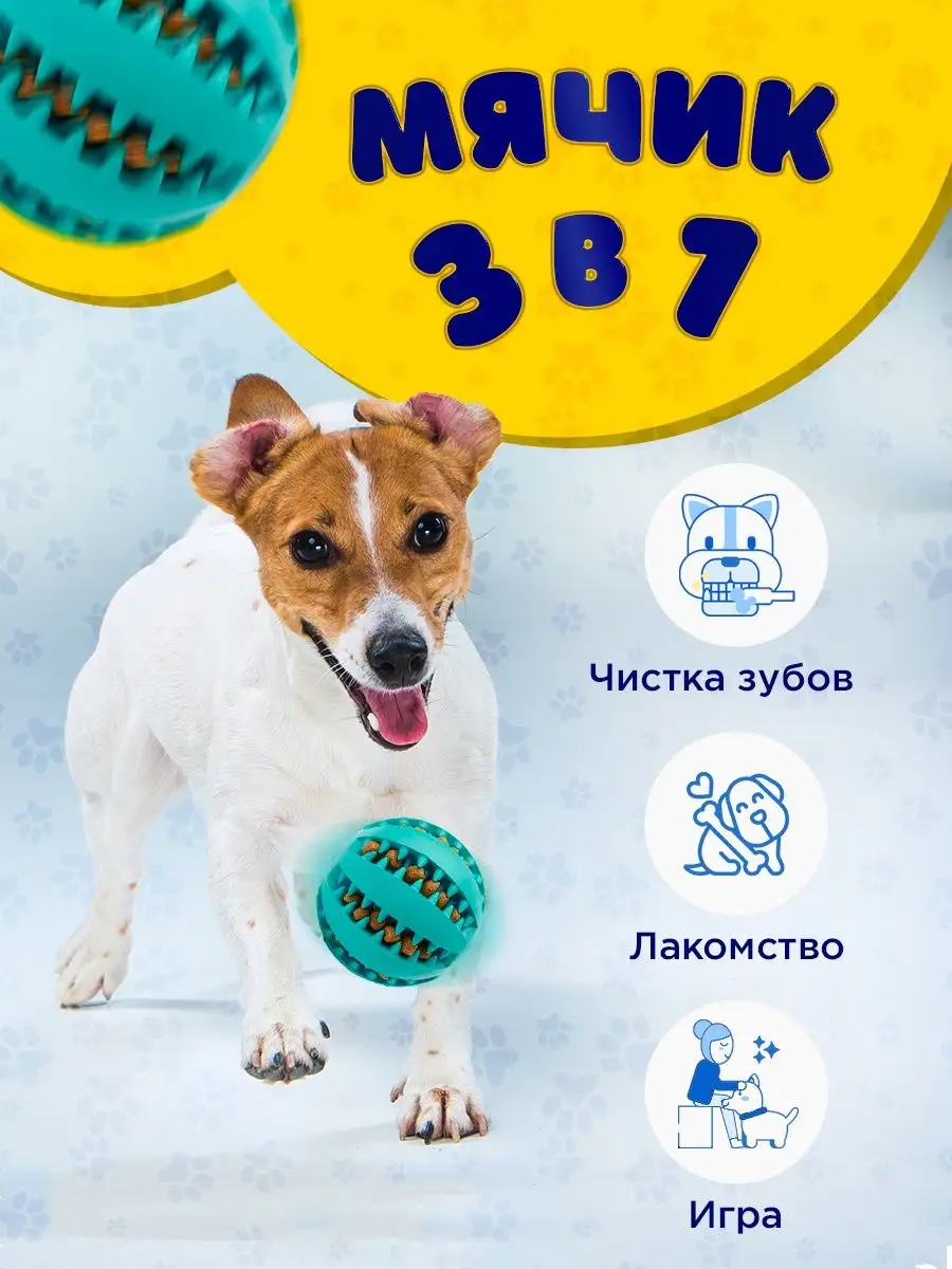 Жевательная резиновая игрушка мячик для собак и кошек Pet Mall 148352529  купить за 137 ₽ в интернет-магазине Wildberries