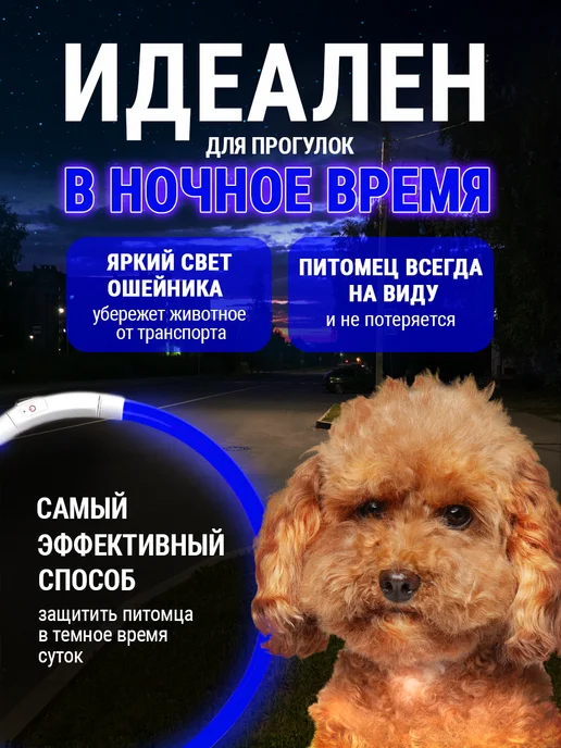 Pet Mall Светящийся ошейник для собак и щенков, синий, фото 2