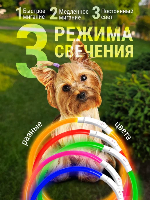 Pet Mall Светящийся ошейник для собак и щенков, синий, фото 3