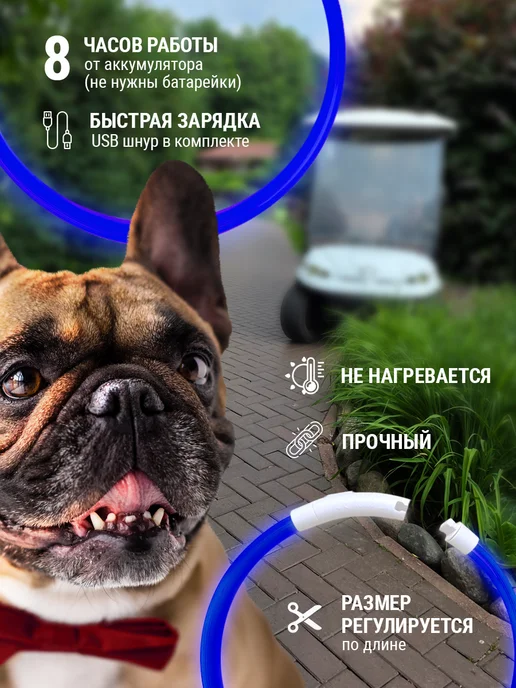 Pet Mall Светящийся ошейник для собак и щенков, синий, фото 4