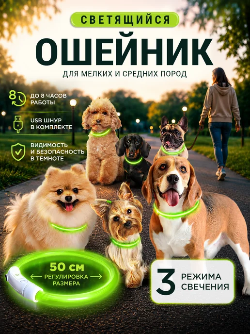 Pet Mall Светящийся ошейник для собак и щенков, зеленый