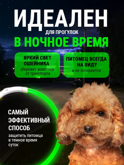 Pet Mall Светящийся ошейник для собак и щенков, зеленый, фото 2