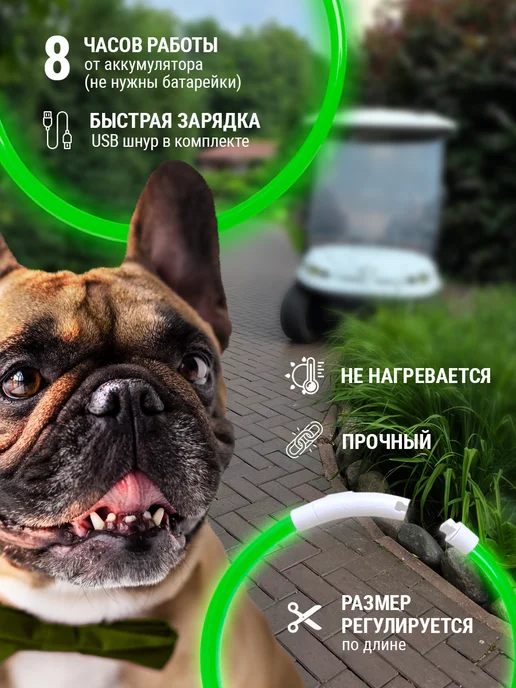 Pet Mall Светящийся ошейник для собак и щенков, зеленый, фото 4