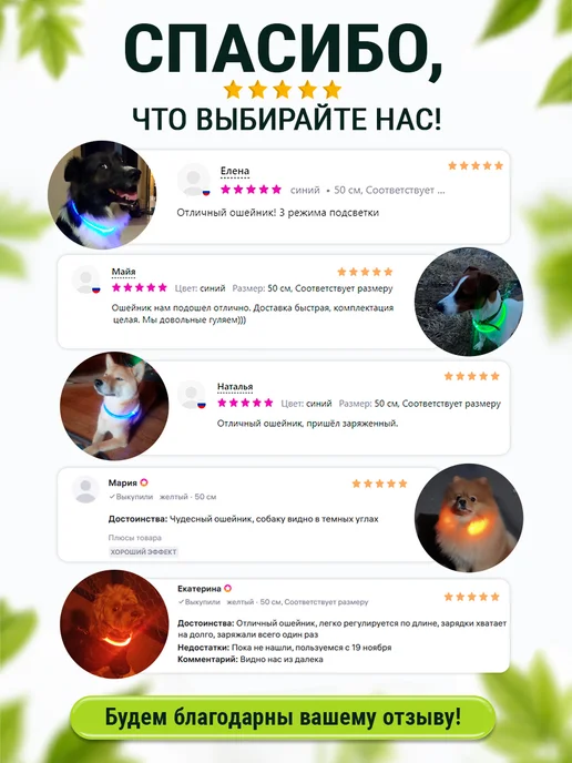 Pet Mall Светящийся ошейник для собак и щенков, зеленый, фото 7