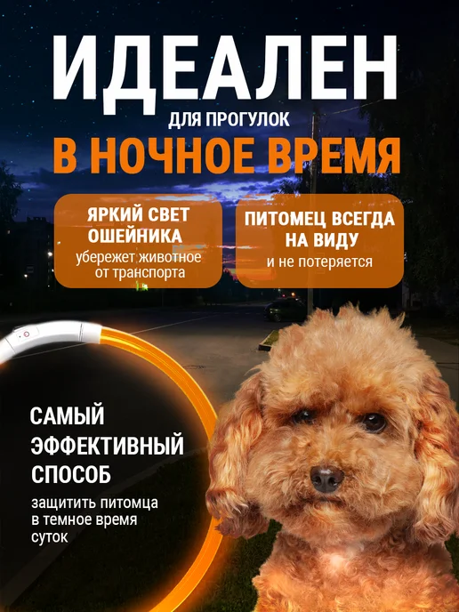 Pet Mall Светящийся ошейник для собак и щенков, желтый, фото 2