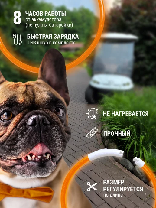 Pet Mall Светящийся ошейник для собак и щенков, желтый, фото 4