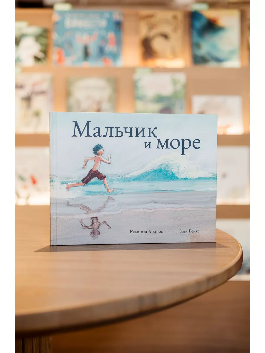 Мальчик и море Поляндрия 148396329 купить за 560 ₽ в интернет-магазине  Wildberries