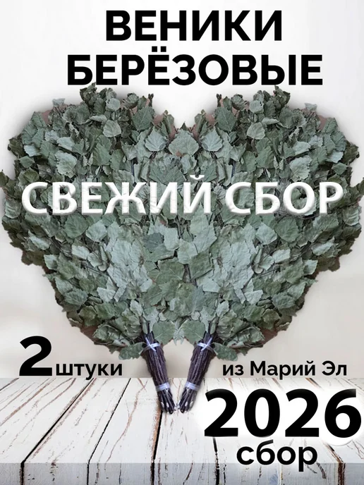 Банный веник дубовый Берёзовые веники для бани и сауны 2 штуки 2026, 2 штуки