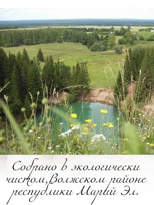 Банный веник дубовый Берёзовые веники для бани и сауны 2 штуки 2026, 2 штуки, фото 2