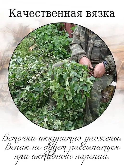 Банный веник дубовый Берёзовые веники для бани и сауны 2 штуки 2026, 2 штуки, фото 5