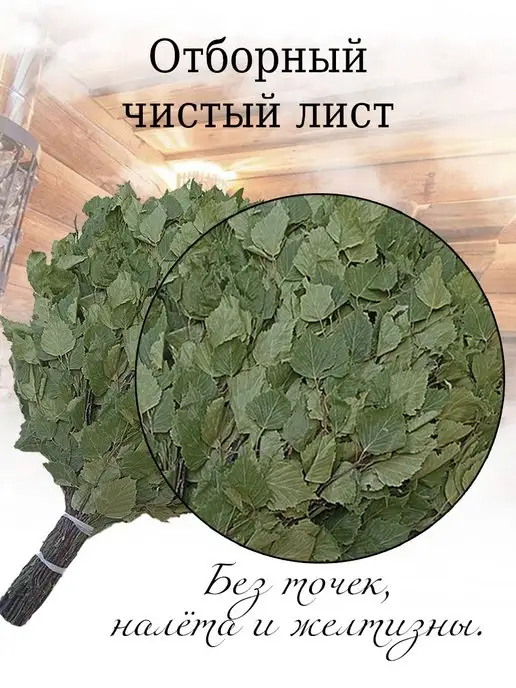 Банный веник дубовый Берёзовые веники для бани и сауны 2 штуки 2026, 2 штуки, фото 8