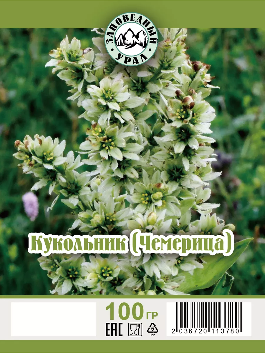 Кукольник корень Заповедный Урал 148450082 купить за 333 ₽ в  интернет-магазине Wildberries