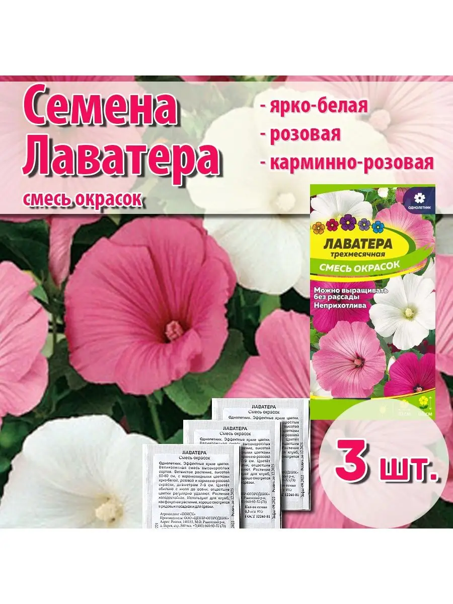 Семена Лаватера 100%KITCHEN 148530411 купить за 145 ₽ в интернет-магазине  Wildberries