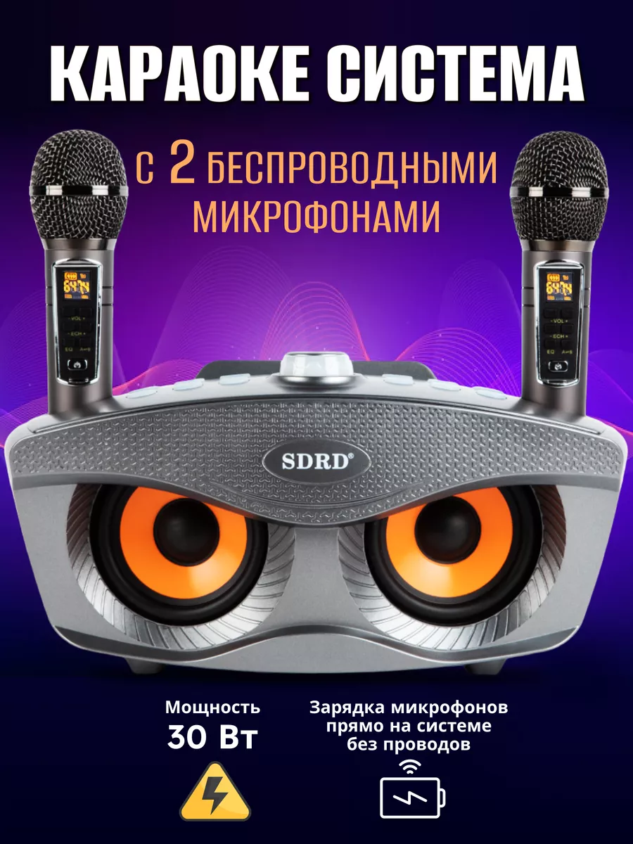 Караоке система для дома беспроводная SDRD Original 148539737 купить за 5  548 ₽ в интернет-магазине Wildberries