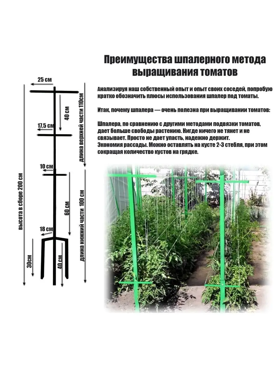 Шпалеры для помидор