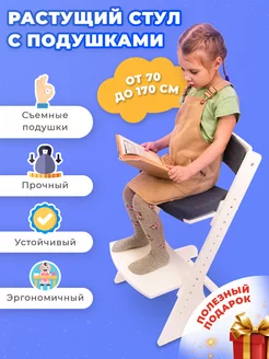 Растущий стул для школьника ортопедический с подушками JetMama 148628198 купить за 4 760 ₽ в интернет-магазине Wildberries