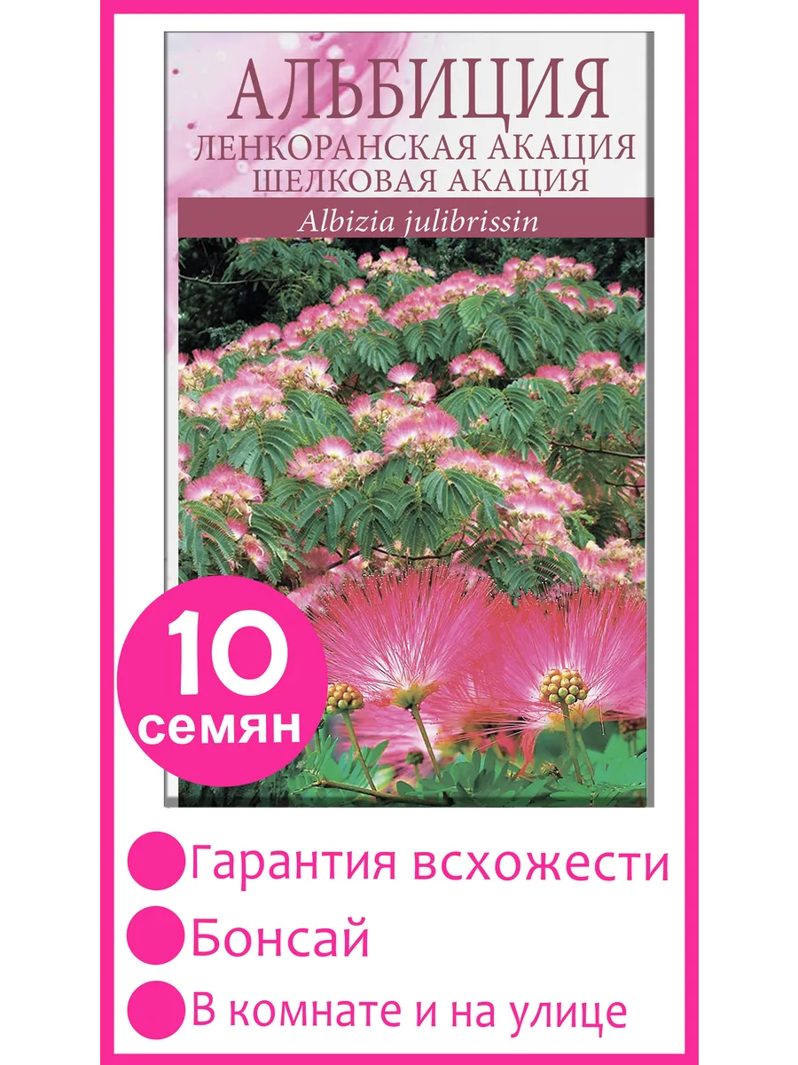 Ленкоранская Акация, бонсай