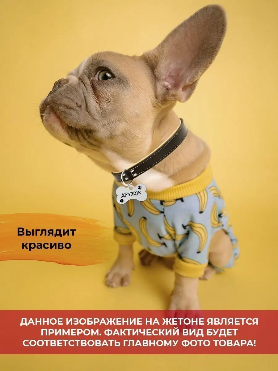 Адресник для собаки Брелок на ошейник с гравировкой Лексус EngravePETS  148673839 купить за 417 ₽ в интернет-магазине Wildberries