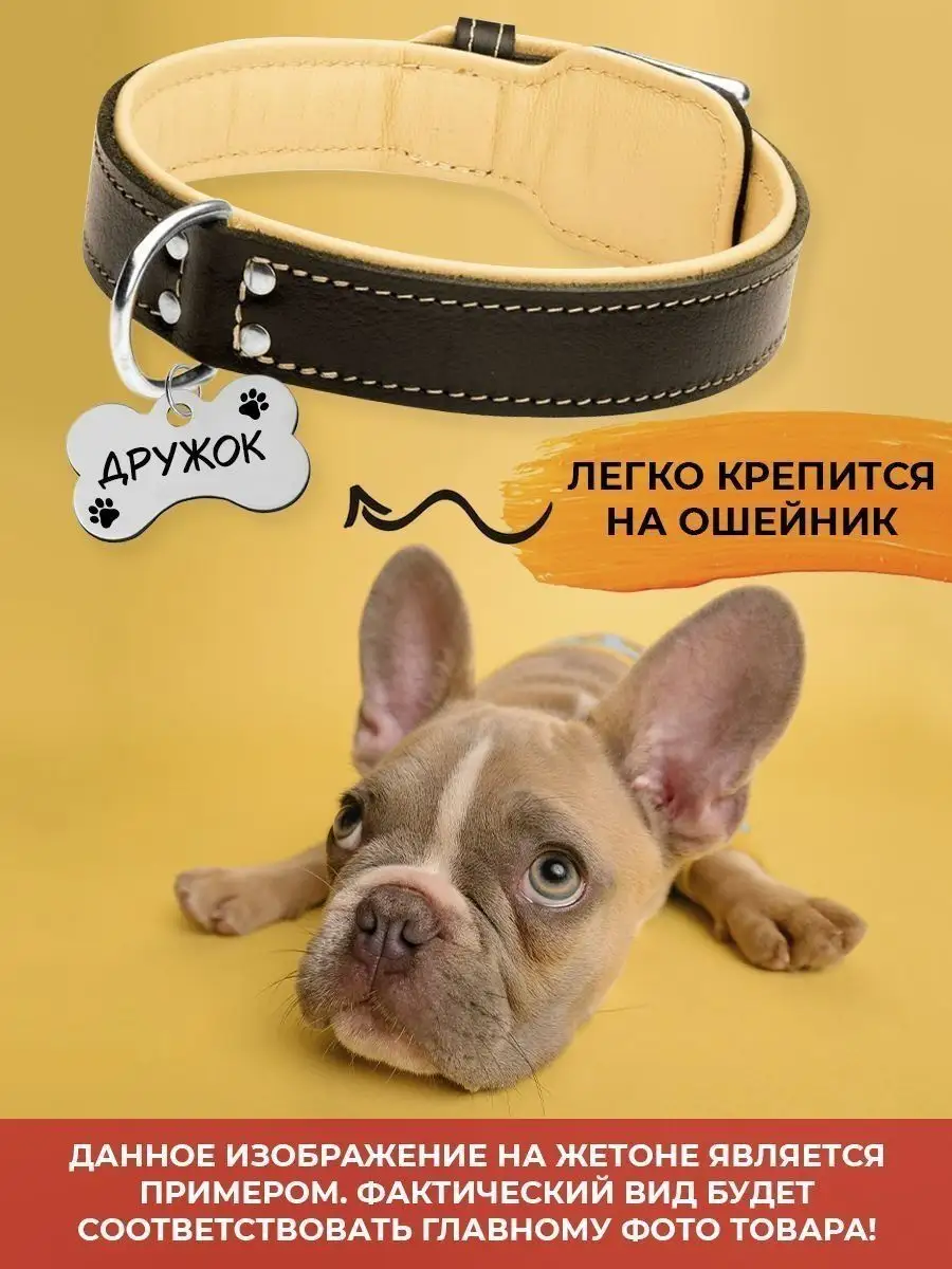 Адресник для собаки Брелок на ошейник с гравировкой Локки EngravePETS  148673847 купить за 417 ₽ в интернет-магазине Wildberries