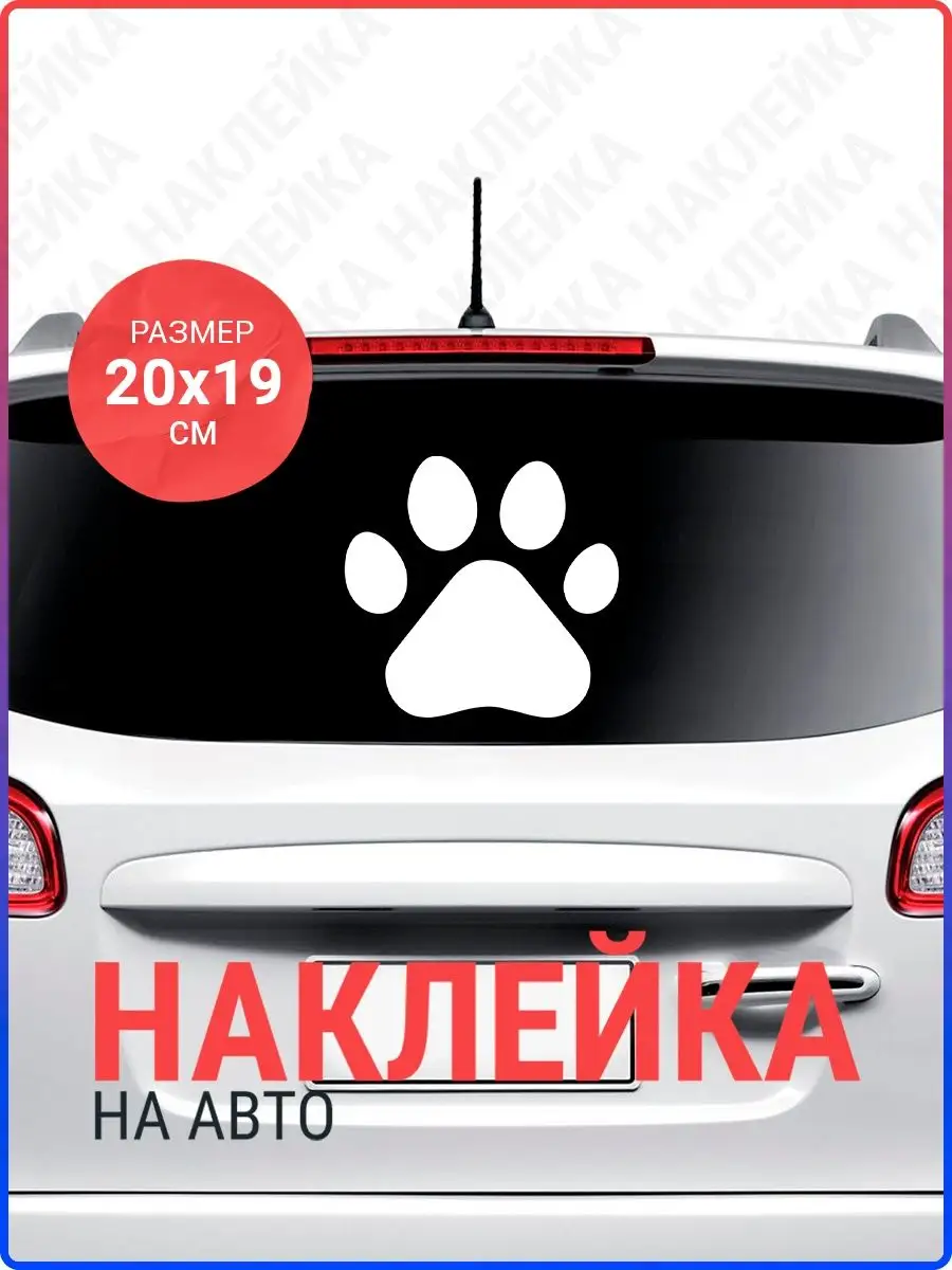 Наклейка на авто Лапа Live Car 148679413 купить за 180 ₽ в  интернет-магазине Wildberries