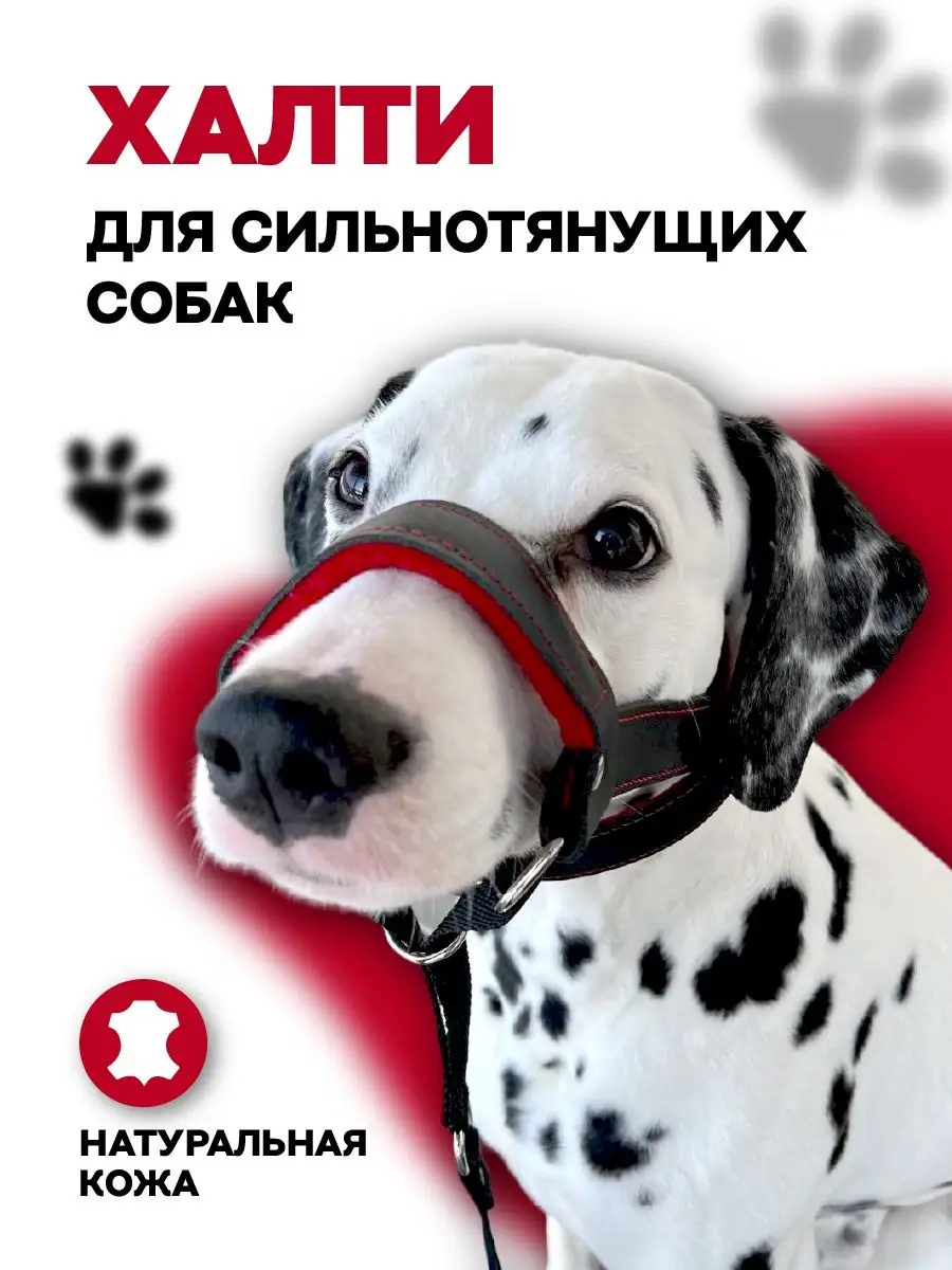 Недоуздок для собак Халти