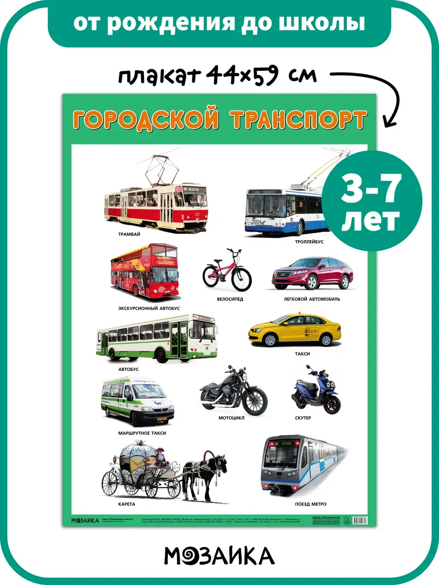 Развивающий плакат на стену для детей городской транспорт 3+