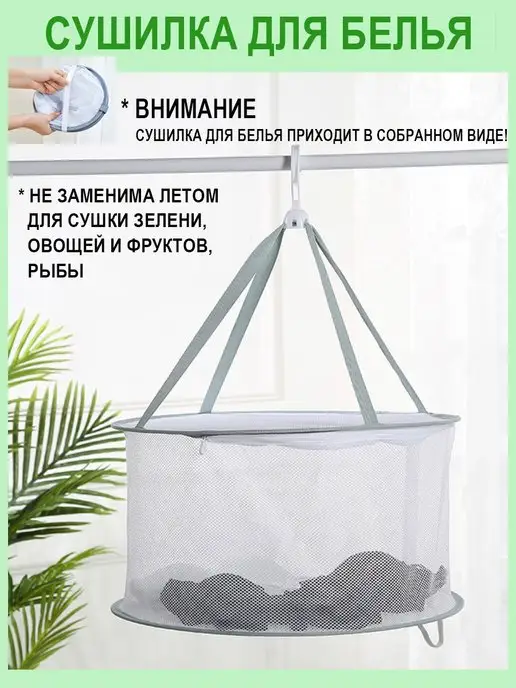 Девушки в трусиках фото hd обои и картинки на рабочий стол скачать бесплатно на сайте riosalon.ru