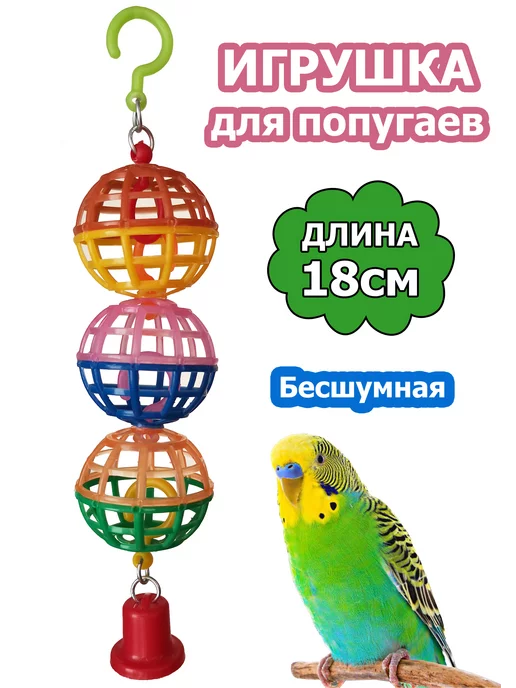 Как правильно выбрать игрушки для кореллы: маленькие хитрости