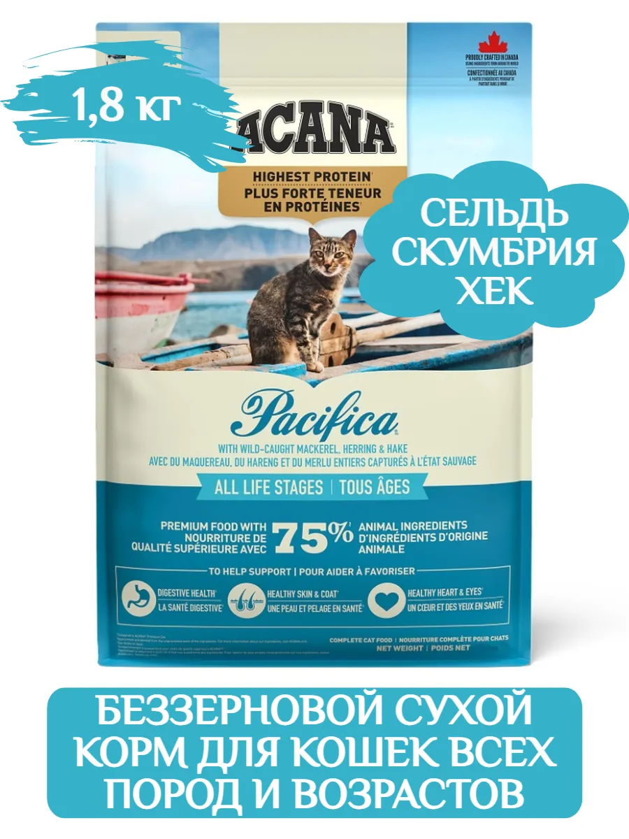 Acana 3 kg best sale