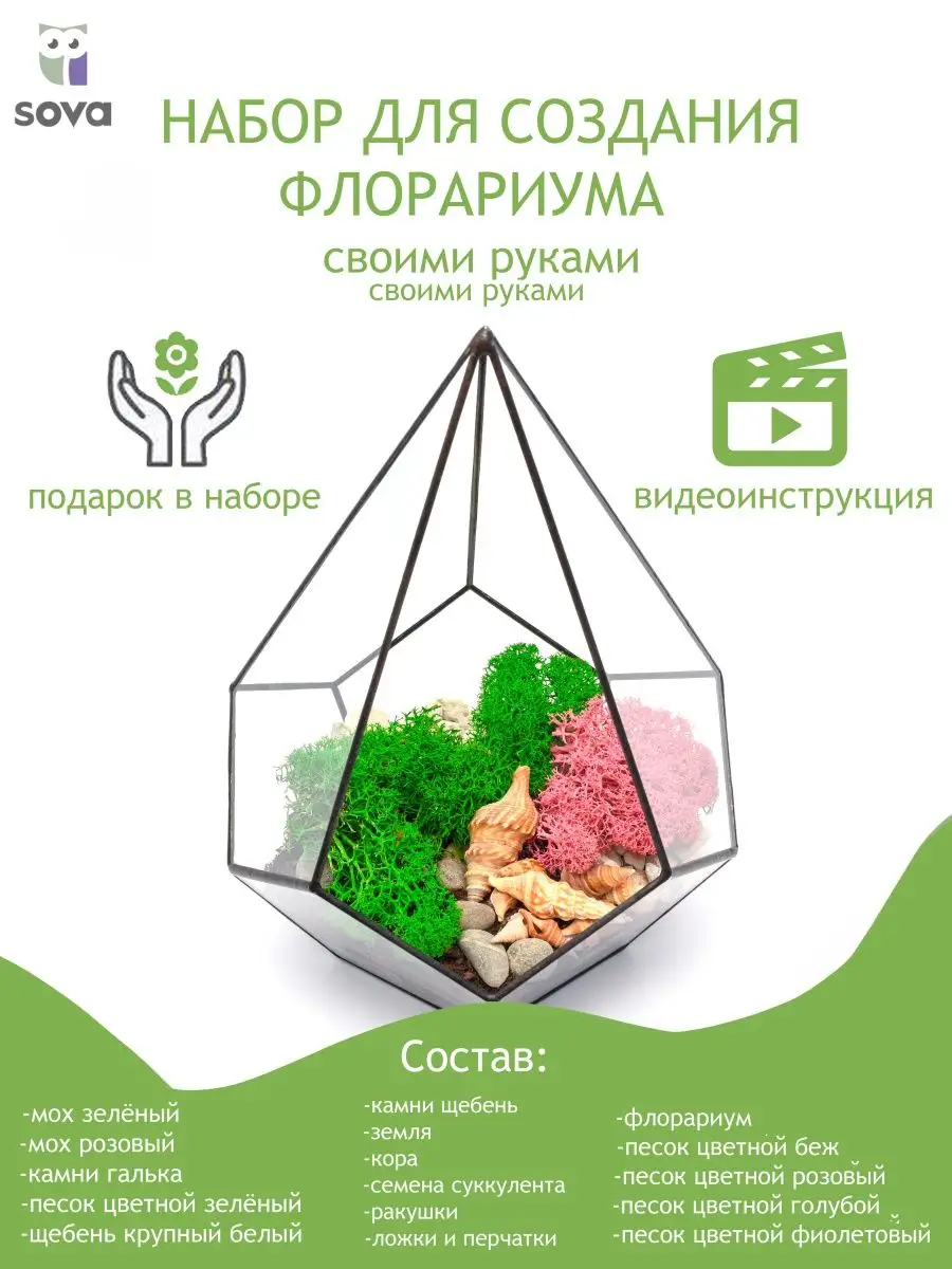 Как правильно подготовить корягу для аквариума | paraskevat.ru | ЮВИАКВА
