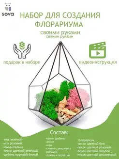 Флорариум стеклянный набор с растениями Sova market 148849085 купить за 3 045 ₽ в интернет-магазине Wildberries