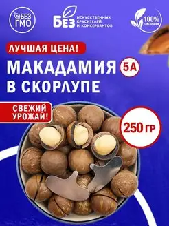 Макадамия в скорлупе отборный 250 г / Орехи 5А ABCNUTS 148860107 купить за 274 ₽ в интернет-магазине Wildberries