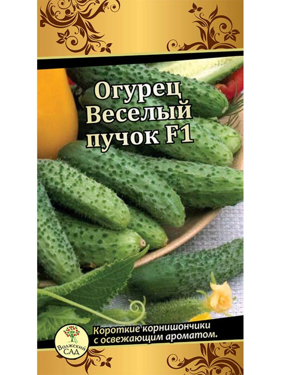 Огурец веселый пучок 10шт. Огурец Волжский. Огурец веселая компания. Огурец веселая компания ф1 фото.