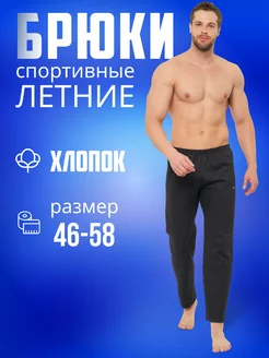 Брюки спортивные домашние Aitec 148900449 купить за 558 ₽ в интернет-магазине Wildberries