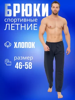 Брюки спортивные домашние Aitec 148900450 купить за 850 ₽ в интернет-магазине Wildberries