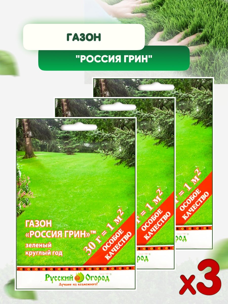Зеленой круглый год. Грин зеленый. Green Russia.